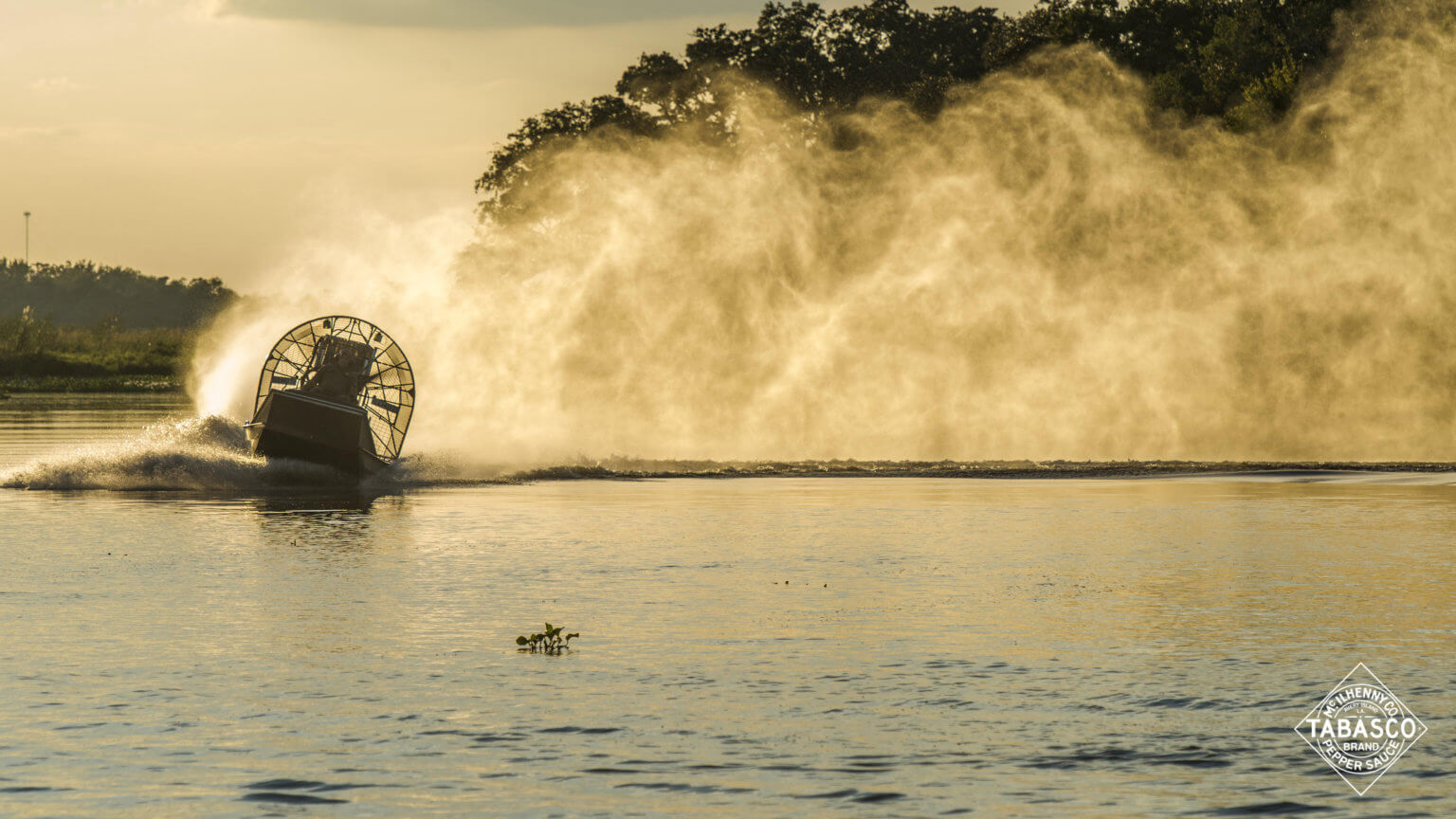 Avery Island Bayou - Download