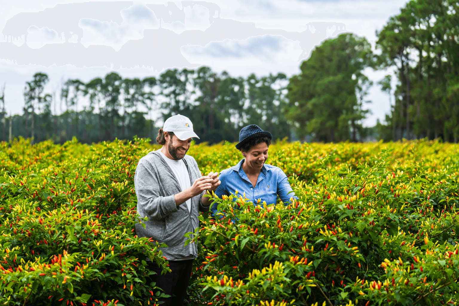 Shake Shack x Nina Compton featuring TABASCO® Brand